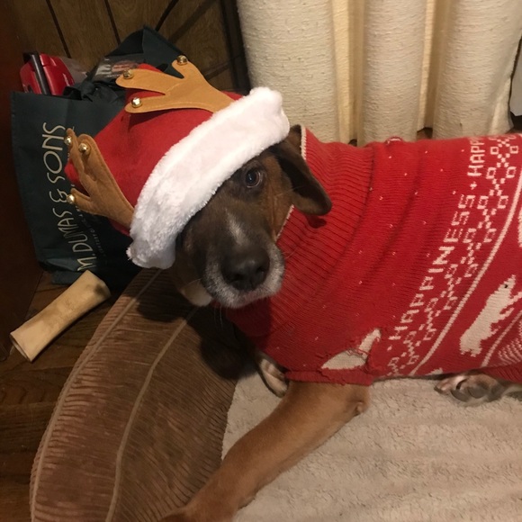 Meet your Posher, Sarah - Picture 2 of 2